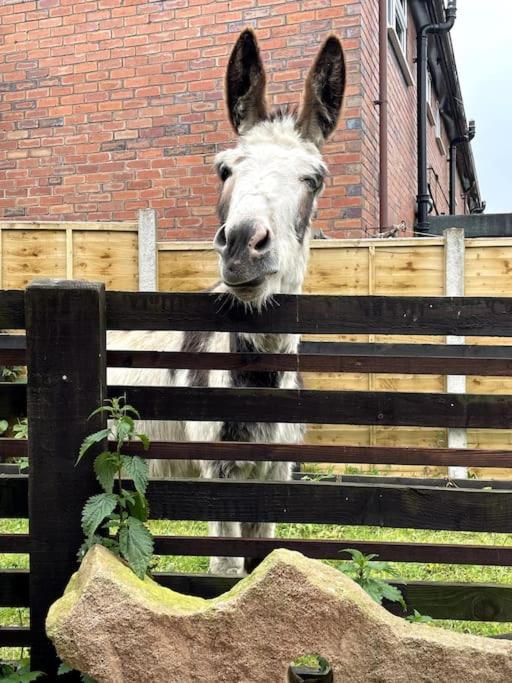 4 Bedroom - Sleep 9 Home In Cheadle Staffordshire - Alton Towers Polar Express Dimmingsdale Peak District Trentham Gardens Water World 외부 사진