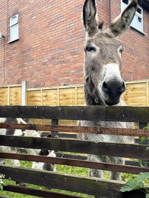 4 Bedroom - Sleep 9 Home In Cheadle Staffordshire - Alton Towers Polar Express Dimmingsdale Peak District Trentham Gardens Water World 외부 사진